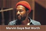 Marvin Halger Net Worth: Career & Death [December, 2023 ]: Genius Celebs