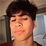 Mattia Polibio Is the Latest Tiktok Star to Become the Victim of a Death Hoax