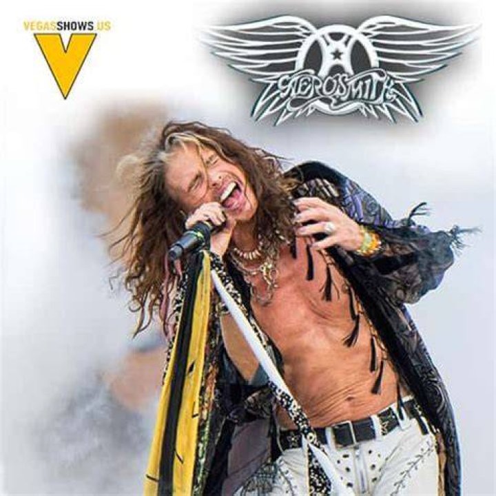 Meet Aerosmith's Steven Tyler Four Children Including One Superstar