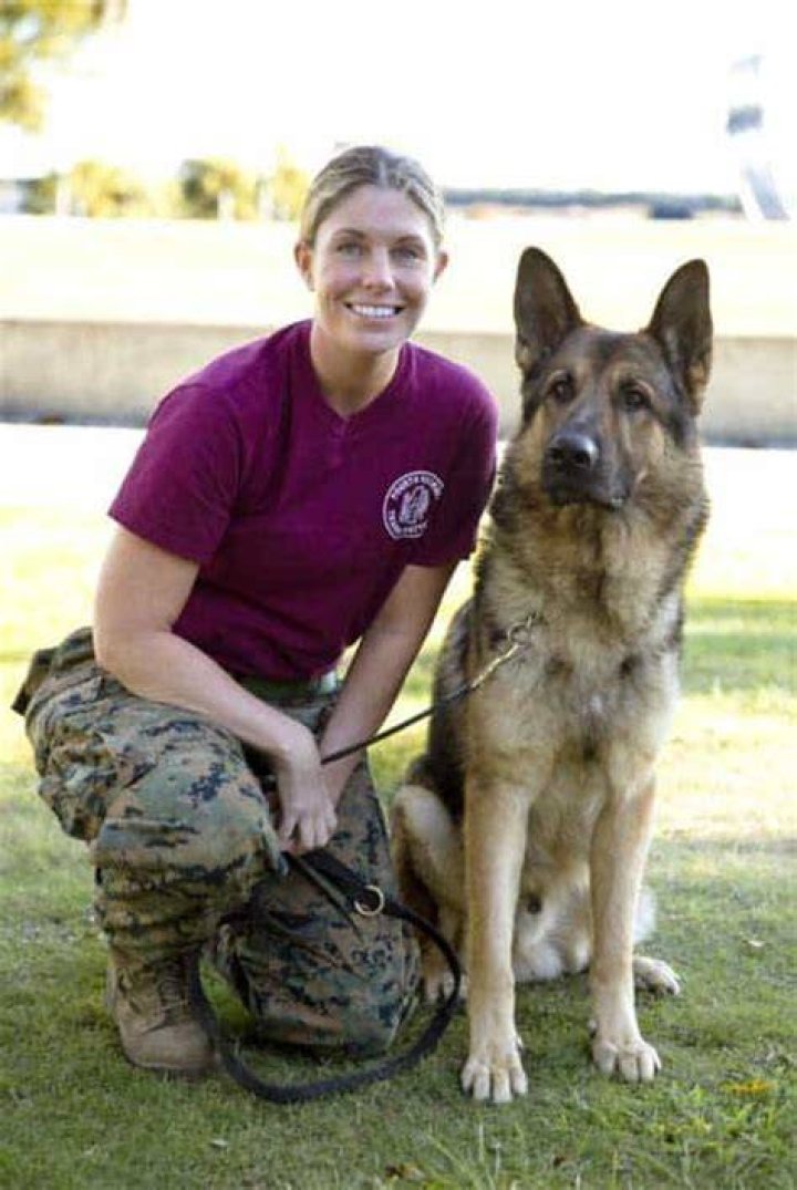 Megan Leavey Did megan leavey meet rex after being sent to a kennel