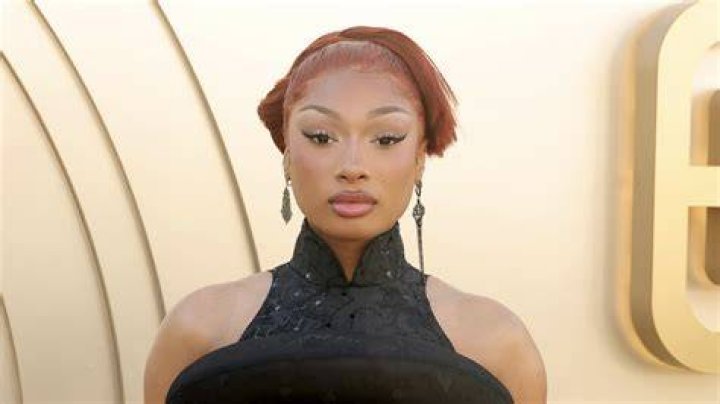 Megan the Stallion Is Reportedly Showing Signs That She May Be Pregnant