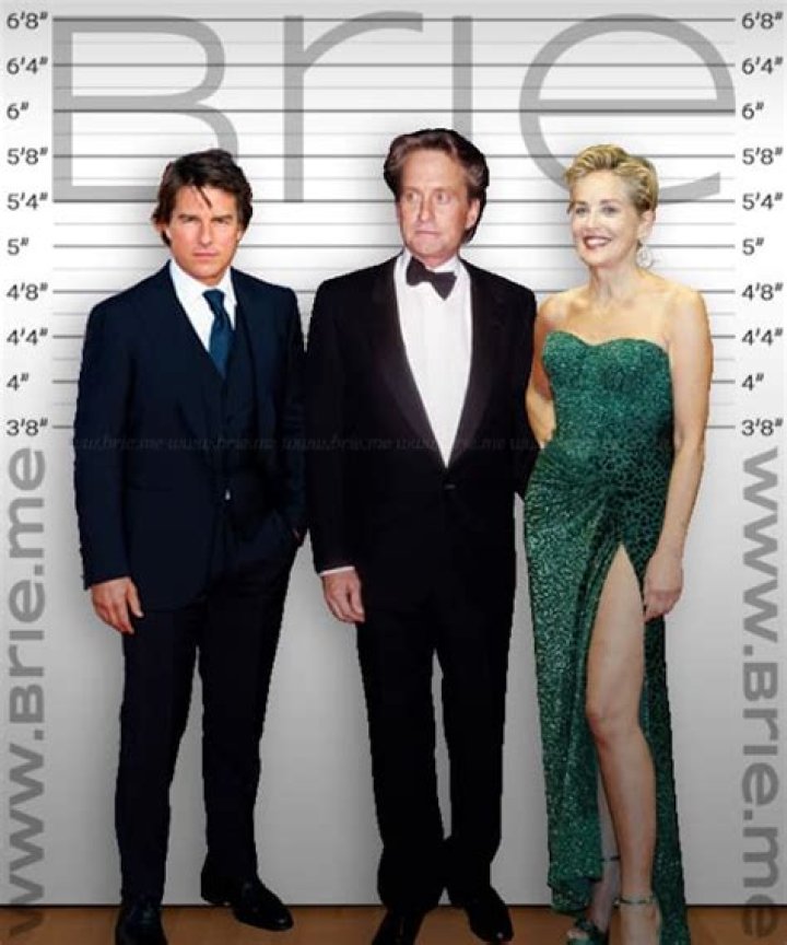 Michael Douglas Height Brie