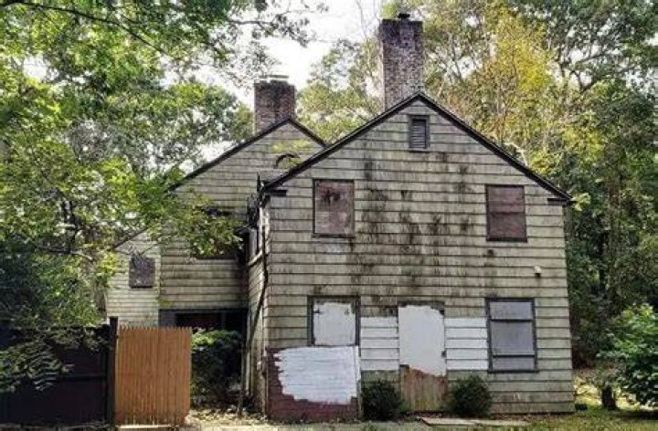 Michael Gladstein House NY Pet Hoarding Home Urban Splatter
