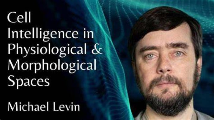 Michael Levin