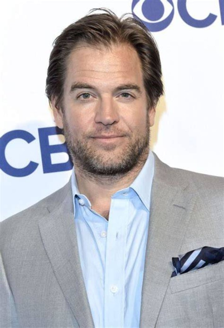 Michael Weatherly AlloCin&eacute;