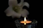 Mike Antell | Death and Obituary: Died in a Car Accident