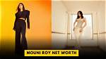 Mouni Roy Net Worth