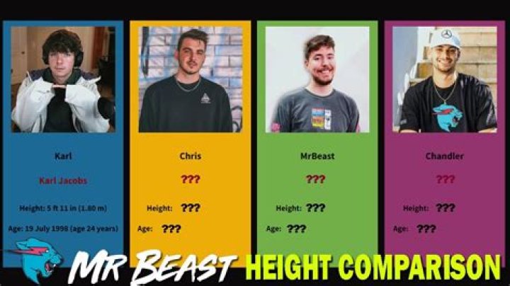 MrBeast&rsquo;s Height and Weight Today How Tall Is He? The YouTuber Shows
