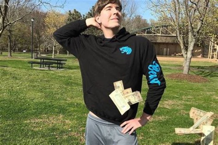 MrBeast Superfan Melts Millions by Thanking the YouTube Star for a