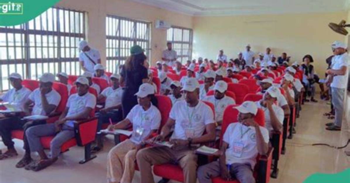 N-Power Speaks on Possible Recruitment, Pending Payments