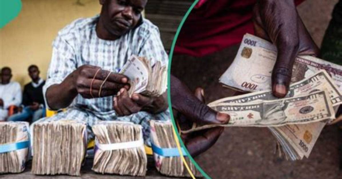 Naira Bounces Back, Gains over N100 Against Dollar in Black Market, Traders Quote New Exchange Rate