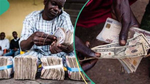 Naira Bounces Back, Gains over N100 Against Dollar in Black Market, Traders Quote New Exchange Rate