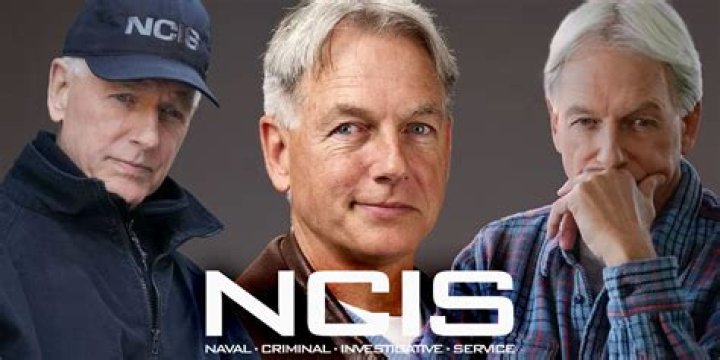 &lsquo;NCIS&rsquo; How Did Mark Harmon Famous?