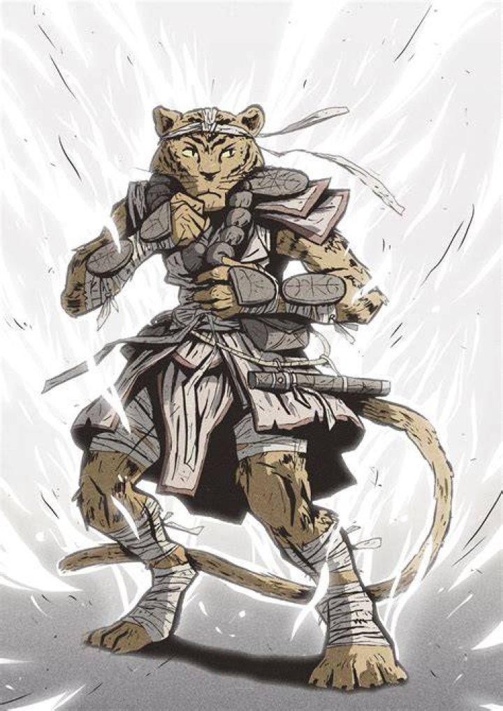 Nim, the Tabaxi Monk r/Dungeons_and_Dragons