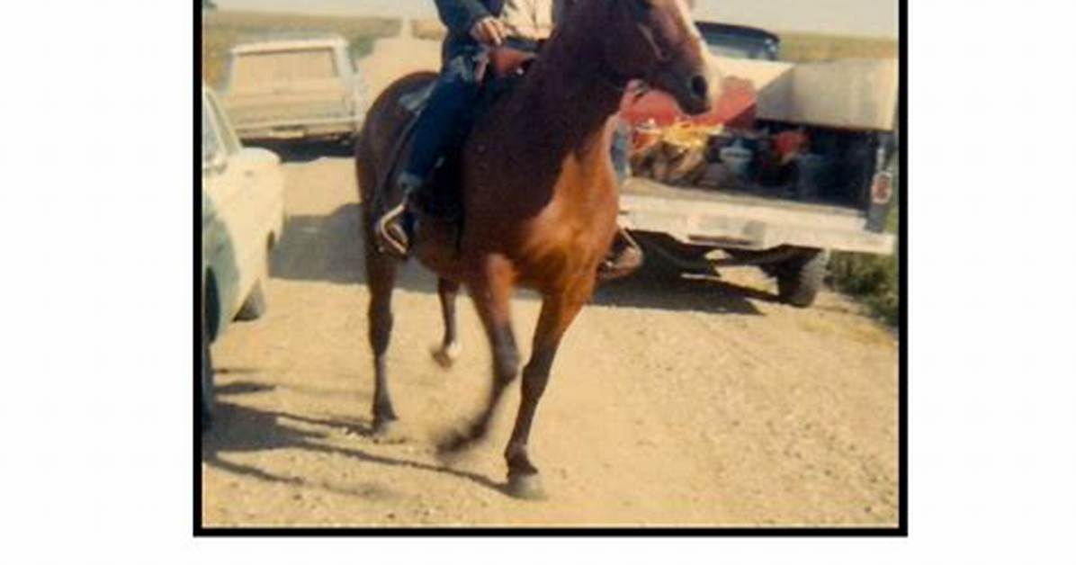 North Dakota Brady Larson Obituary and Death Cause Linked to Work Accident