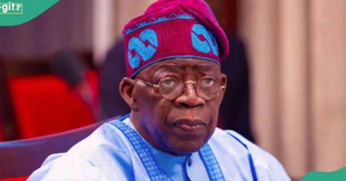 Ohanaeze Exposes Alleged Plots by Sitting Governor to Get Tinubu Sacked