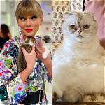 Olivia Benson – How Much Is Taylor Swift’s Cat Worth?