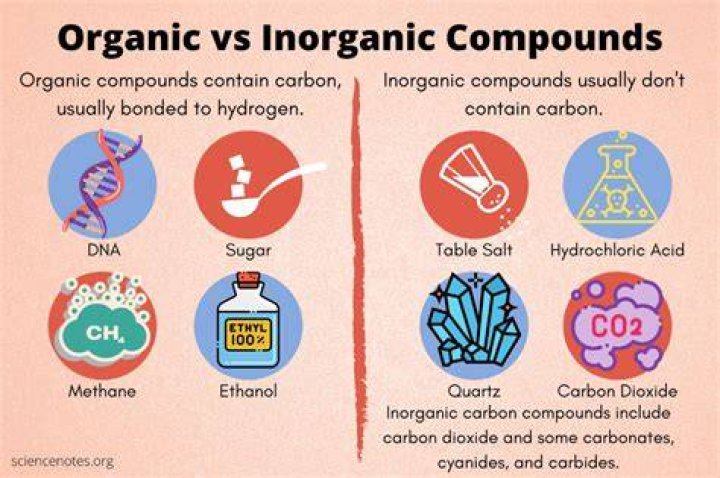 Organic & Chemistry The Difference Between Both
