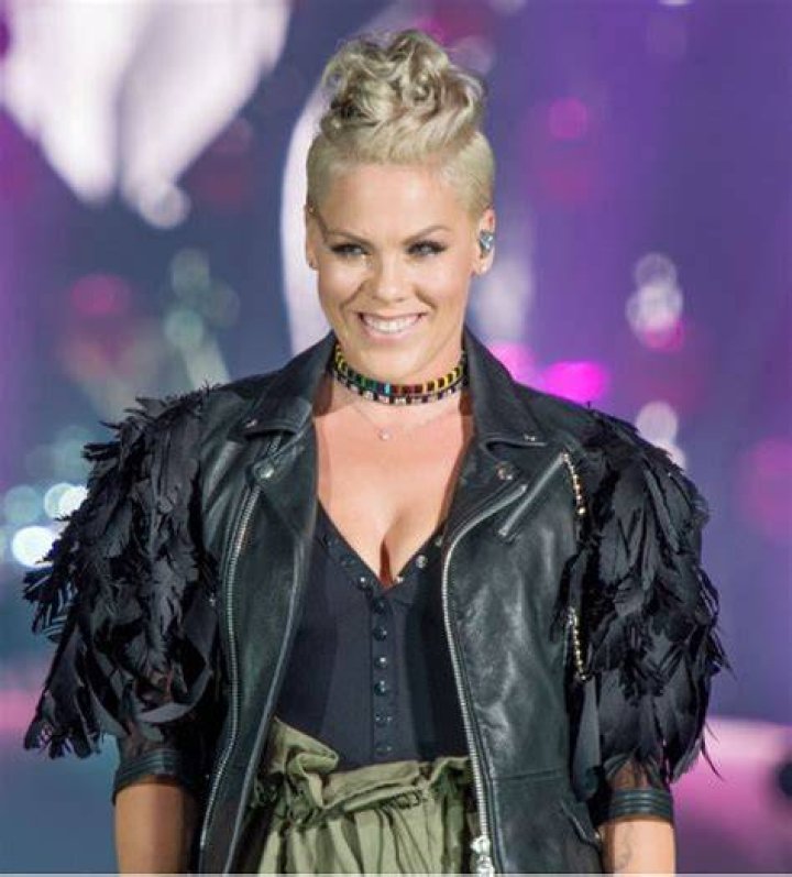 P!nk Music Hub FANDOM powered by Wikia