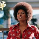 Pam Grier | Bio, Age, Net Worth, Relationship, Career