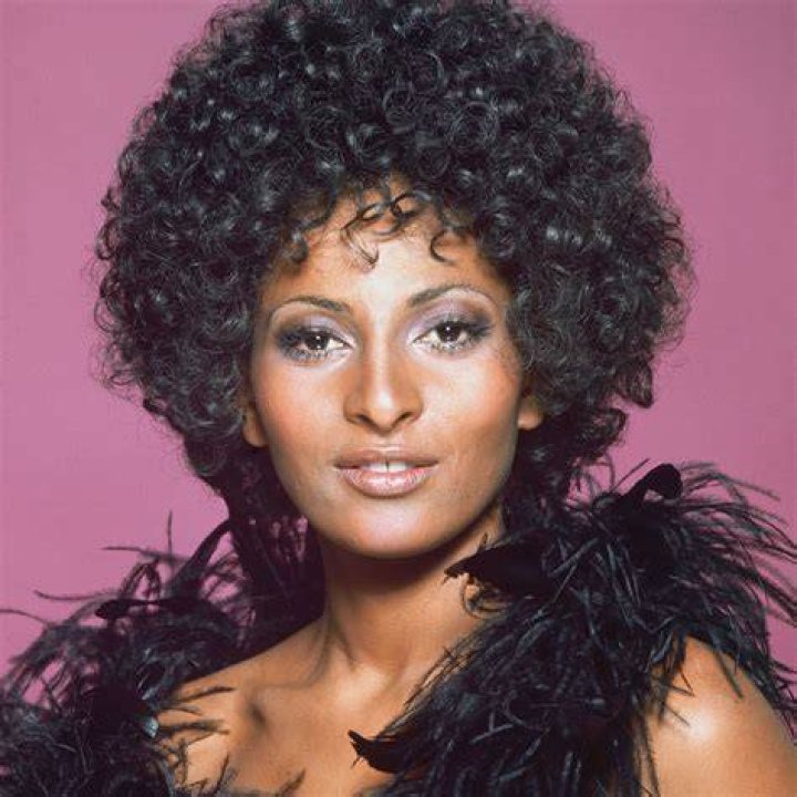 Pam Grier: Uncovering The Mystery Behind Her Unmarried Life
