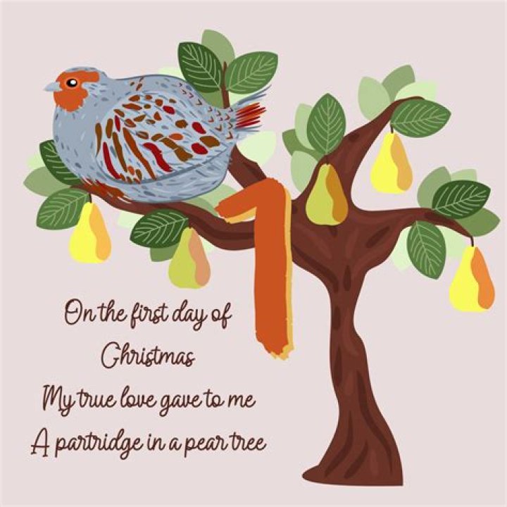 Partridge In A Pear Tree Meaning Techs Slash