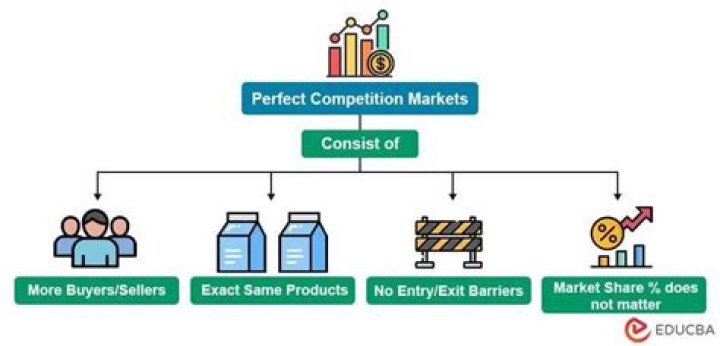 Perfect Competition Examples and How It Works