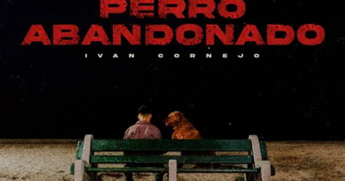 Perro Abandonado by Ivan Cornejo from Mexico