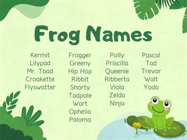 Pet Frog Name Generator (Cute, Funny, & Famous) Mr. Amphibian