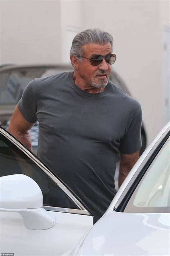 Pin by Sylvester Stallone on Sylvester Stallone Sylvester stallone