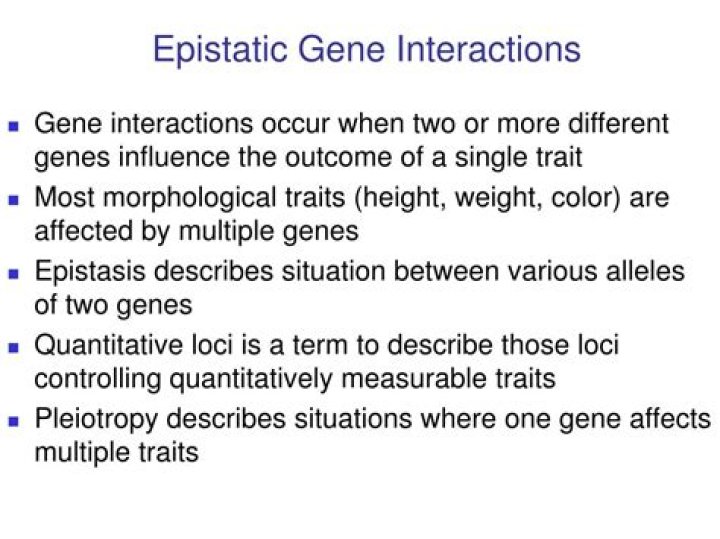 PPT Epistatic Gene Interactions PowerPoint Presentation, free