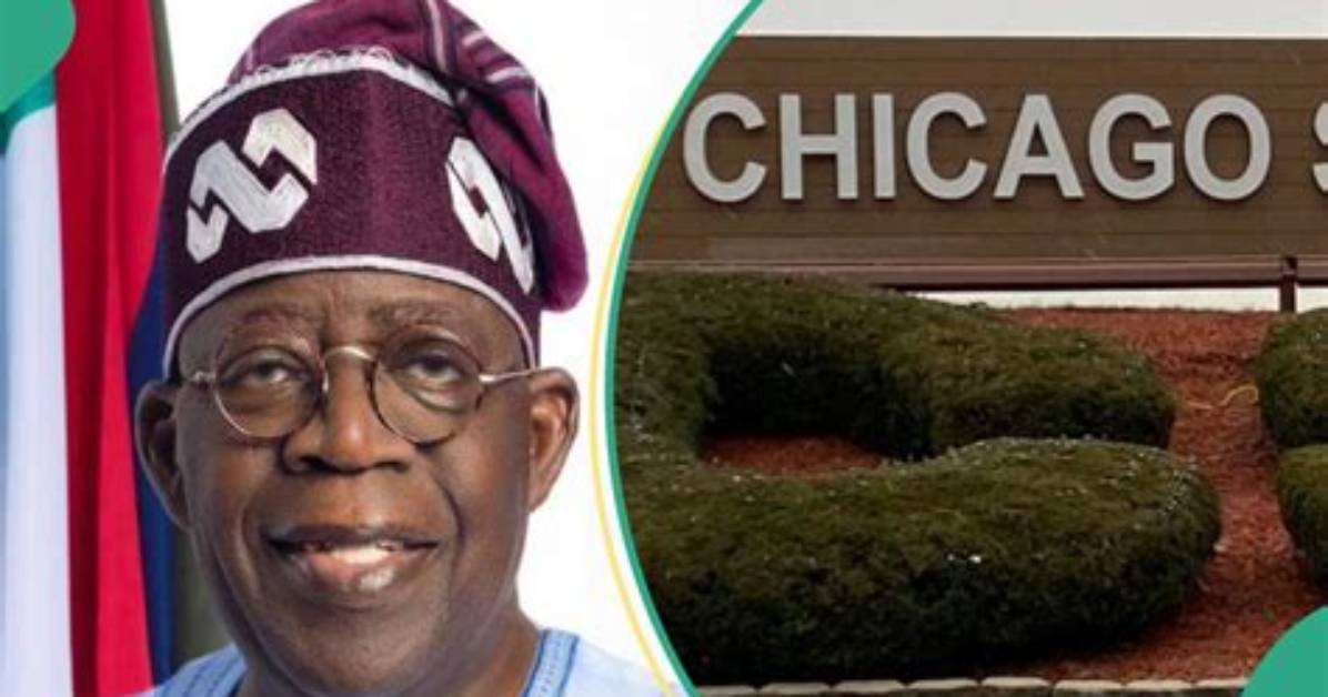 President Tinubu’s Csu Certificate Owned by a Woman? Fact Emerges