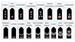 Ranks, Names of 417 Senior Police Officers That Get Promoted, Including Digs, 12 Cps