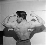 Reg Park
