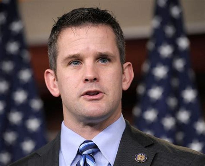 Rep. Adam Kinzinger Says 'Trump Is Like a Cancer' That's Spreading