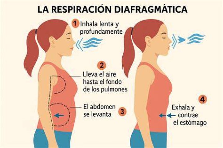 RESPIRACI&Oacute;N La respiraci&oacute;n es el proceso constituido por el transporte
