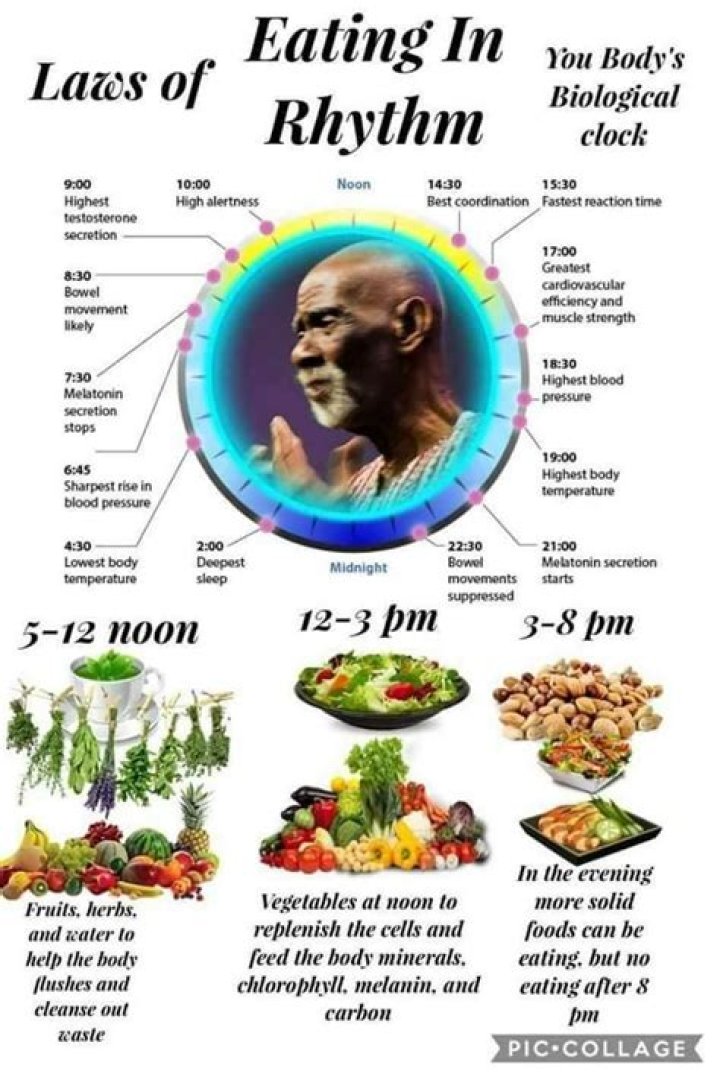 RIP Dr. Sebi (08/06/16) at the Usha Village YouTube