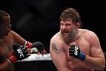 Roy Nelson Net Worth