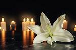 Samantha Zaccadelli Obituary and Death Cause: Family