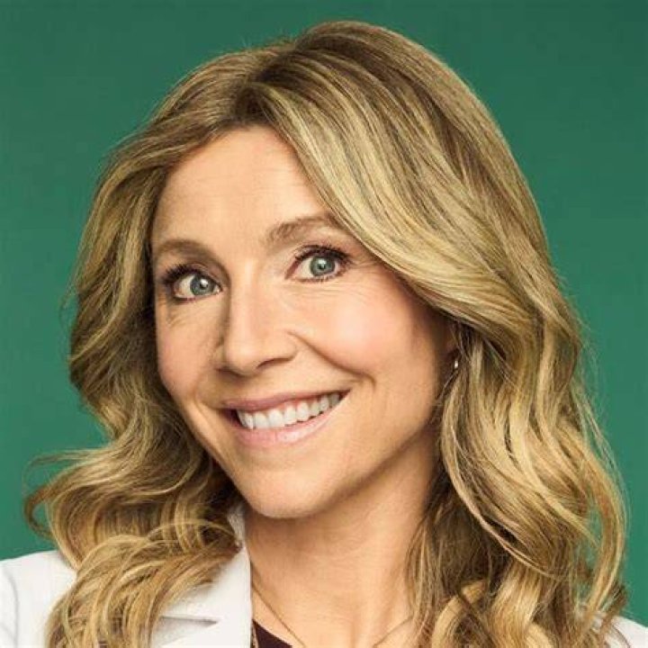 ‘Scrubs’ Star Sarah Chalke Expecting First Child Access Online