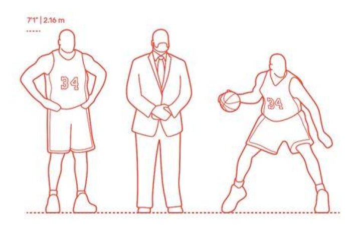 Shaquille O&rsquo;Neal (Shaq) Dimensions & Drawings