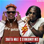 Shatta Wale vs Stonebwoy: Ayisha Modi Wades In, Reveals Stonebwoy Owns 3 Mansions in East Legon