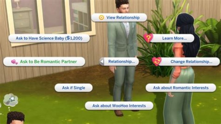 sims partner