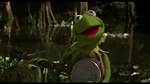 Songs with Kermit | Popnable