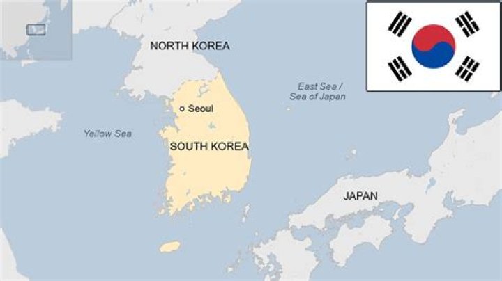 South Korea's Coquillard Andre Jin, bottom, wrestles with Japan's