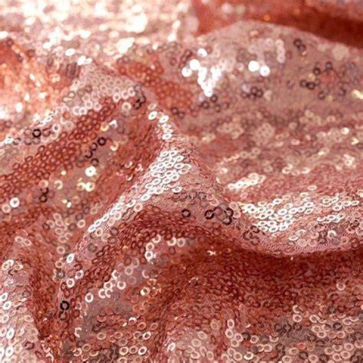 Sparkling Rose Gold Sequin Tube Top of Paulina D&aacute;vila as Isabel in Griselda