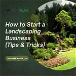 Start a Landscaping Business: Essential Tips