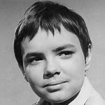 Stefan Arngrim Net Worth