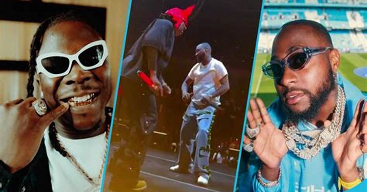 Stonebwoy Joins Davido at His Sold out Timeless Concert at the Madison Square Garden, Video