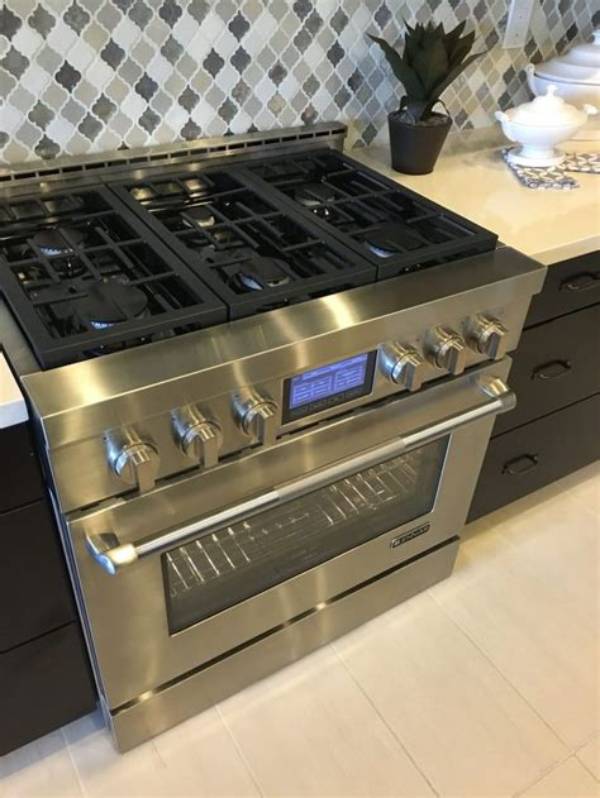 Stove's Kitchen Net Worth